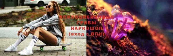 гидра Беломорск